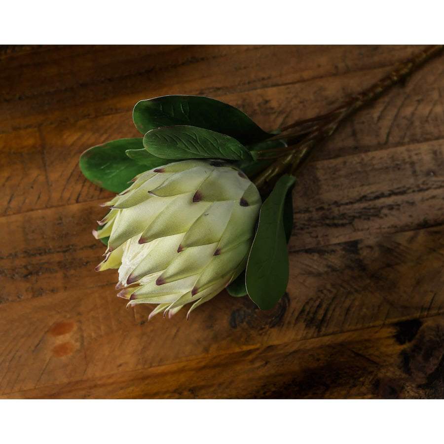 Handcrafted white faux protea flower with ultra-realistic petals, 73 cm tall, for elegant zero-maintenance home decor. by Sostter at brixbailey.com