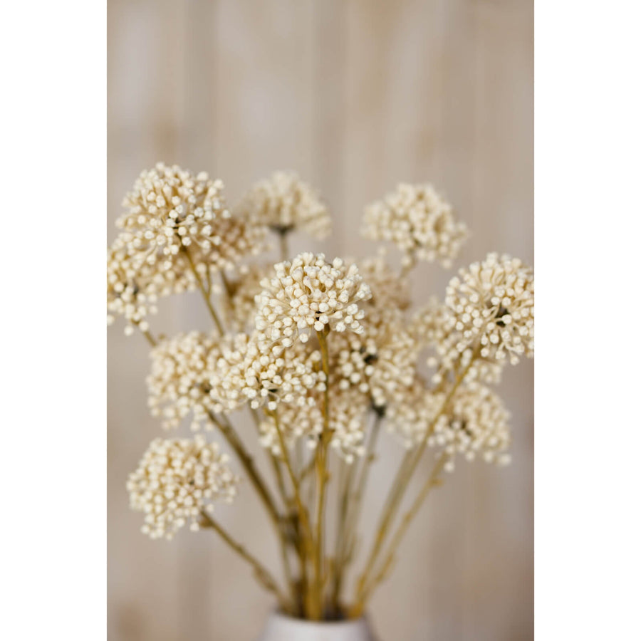 Cream allium floral spray with hyper-realistic blooms, 60cm bendable stems for elegant home decor by Sostter at brixbailey.com
