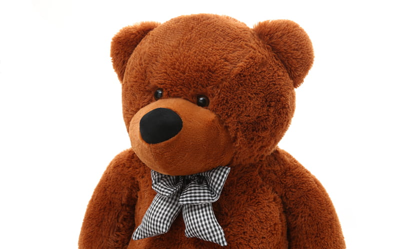 Giant 200 cm Teddy Bear – Safe, Soft & Cuddly – MeowBaby® by MeowBaby at www.brixbailey.com