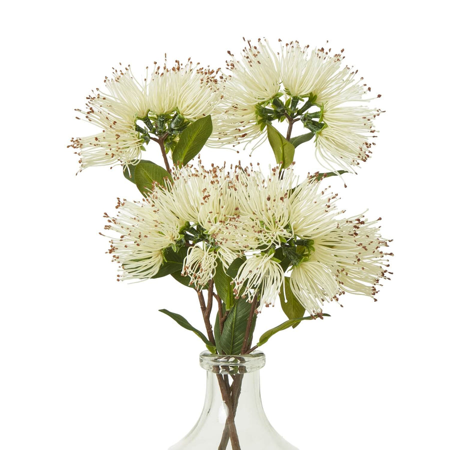 Cream Protea Nitida spray artificial flowers with green foliage, lifelike ivory blooms in 65cm arrangement for home decor by Sostter at brixbailey.com