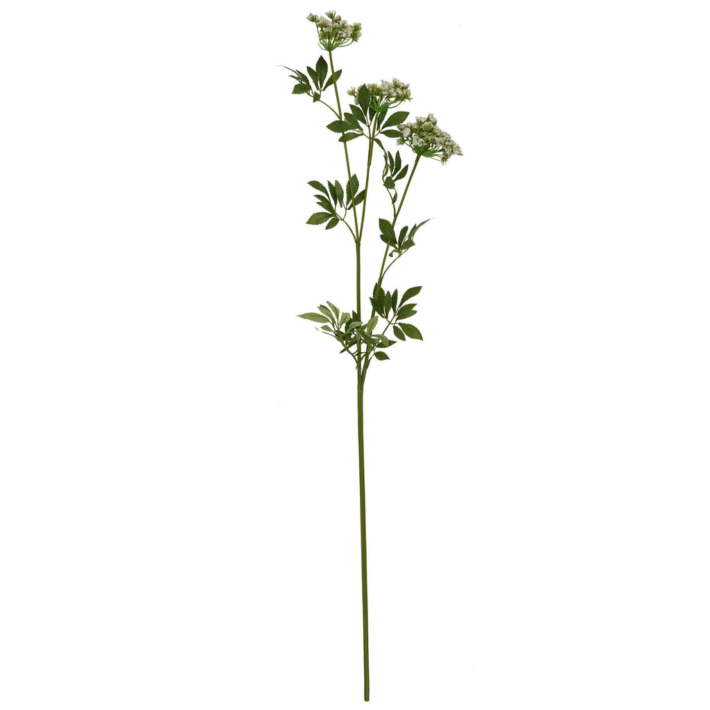 Artificial cow parsley stems with creamy white blooms and green stems, 100cm tall, for rustic or modern home decor by Sostter at brixbailey.com