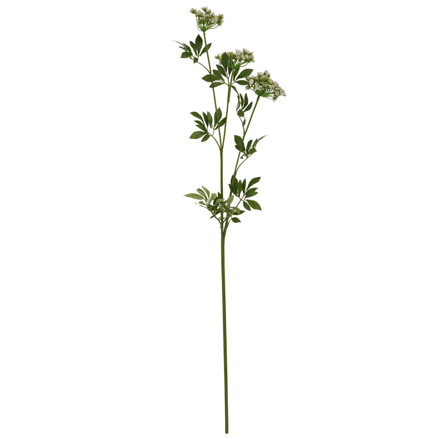 Artificial cow parsley stems with creamy white blooms and green stems, 100cm tall, for rustic or modern home decor by Sostter at brixbailey.com