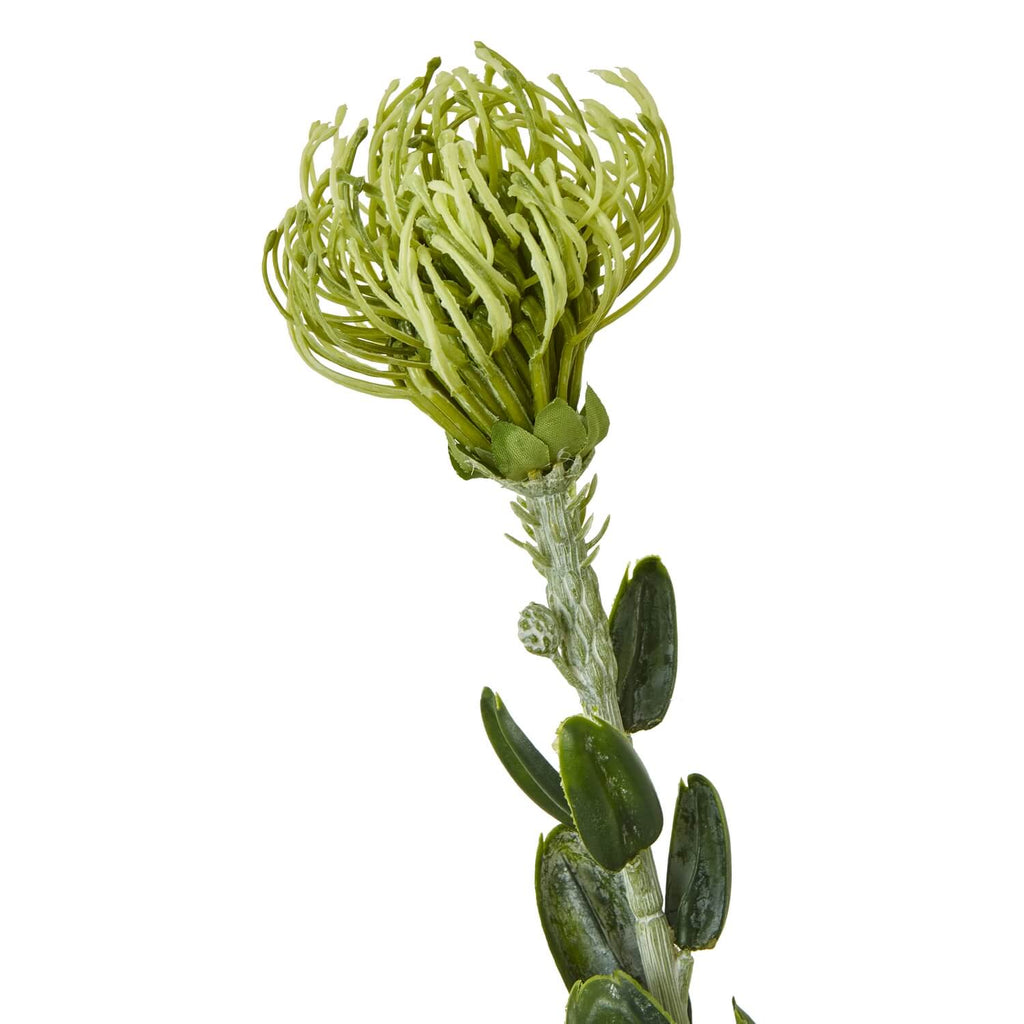 Lifelike pincushion protea spray with spherical blooms and lush green foliage, premium plastic faux botanical for home decor by Sostter at brixbailey.com