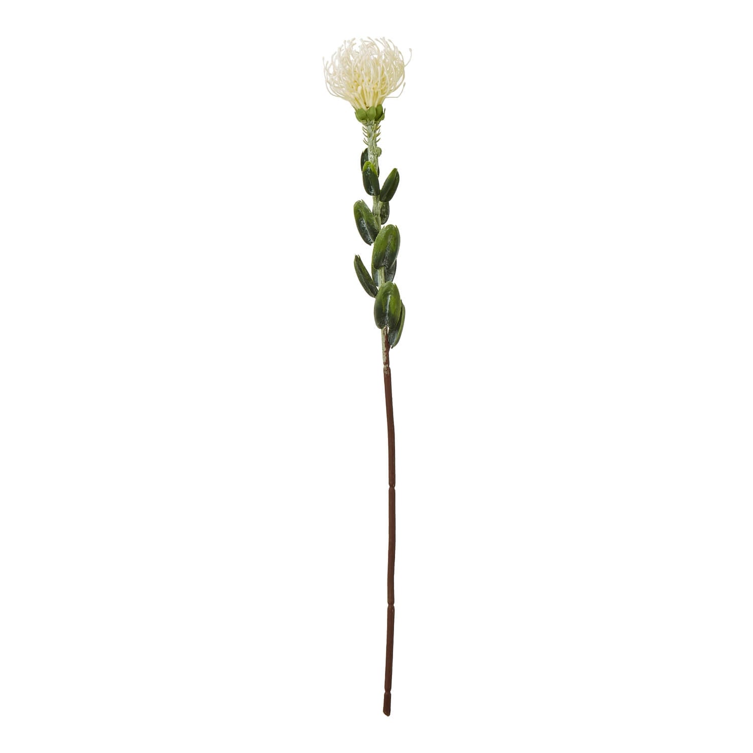 Cream artificial pincushion protea spray with realistic petals and foliage, 61cm tall, for home decor by Sostter at brixbailey.com