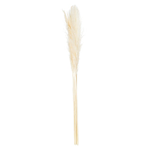 Soft cream dried floral stems with feathery plumes, 47 inches tall, for organic-modern home decor by sostter at brixbailey.com