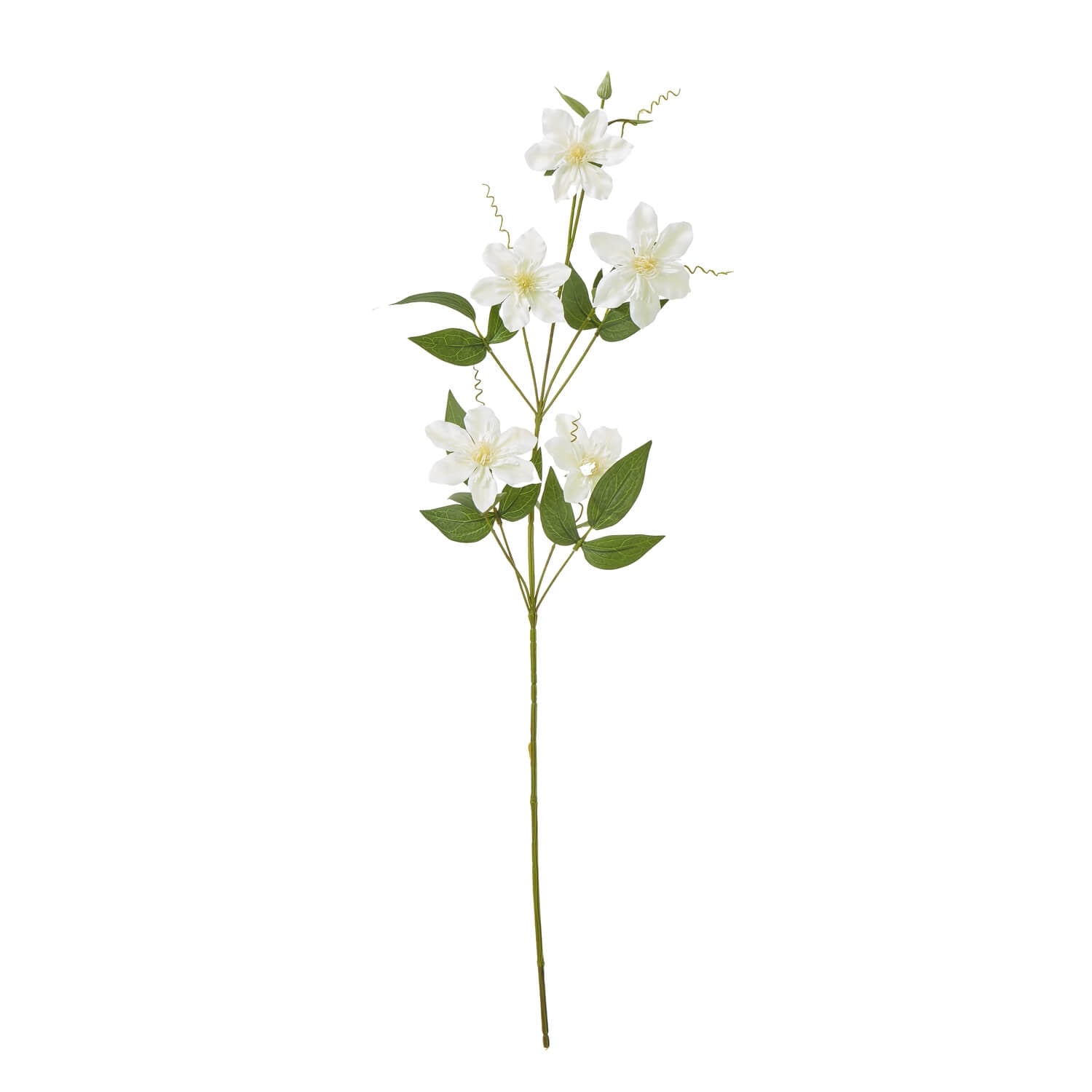 Cream Pearl Clematis Spray floral arrangement with lifelike white blooms and pearl accents in a vase by Sostter at brixbailey.com