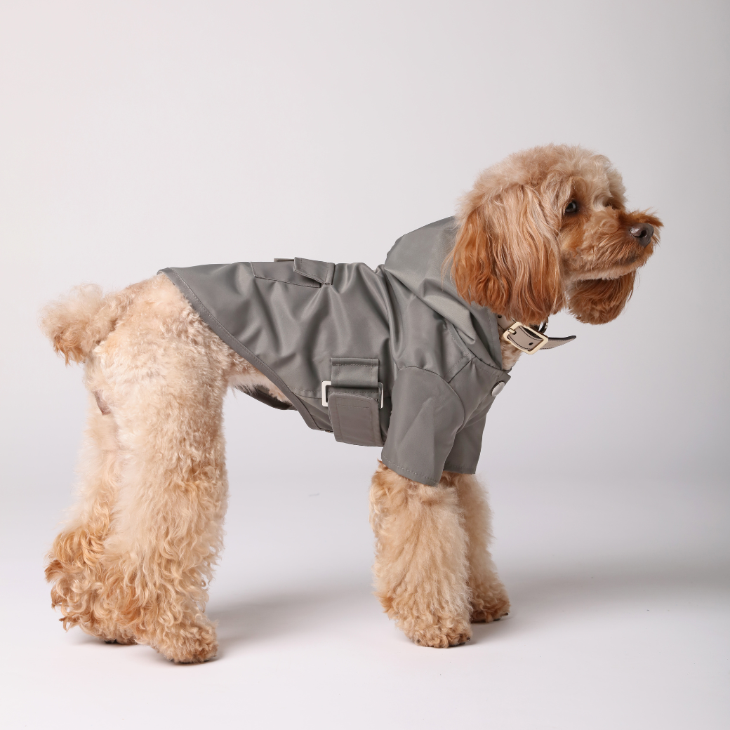 Bowery Raincoat in Gray