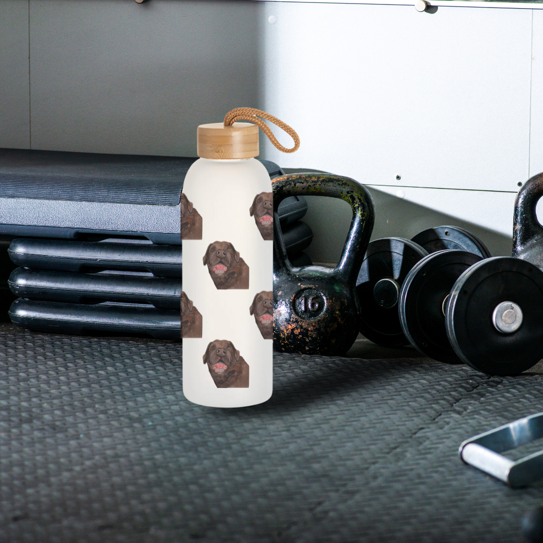 Stay Pawsitively Hydrated – Om Nom Nomnivore Glass Bottle