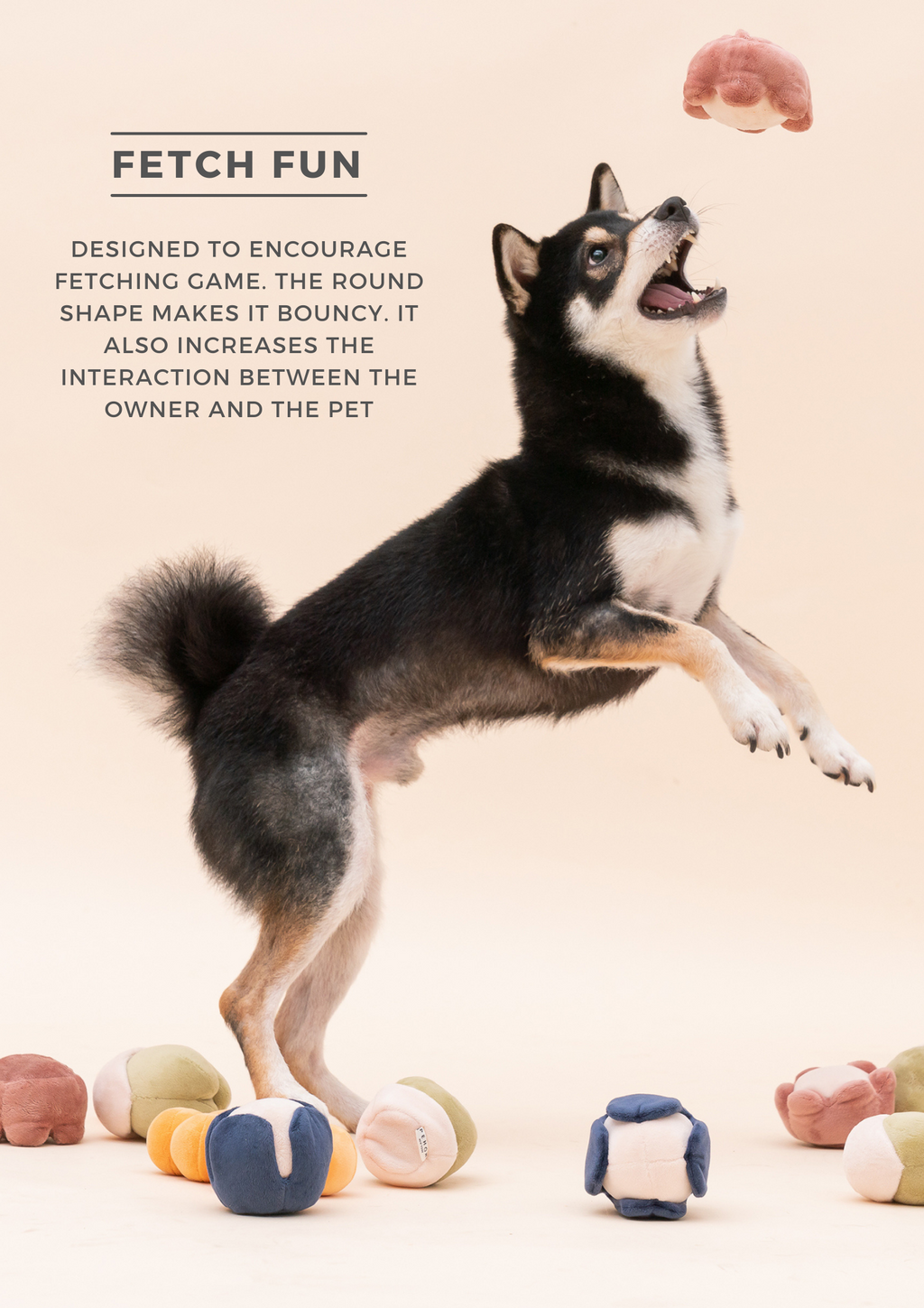 Paradise Pet Toy with Hidden Treats Pocket