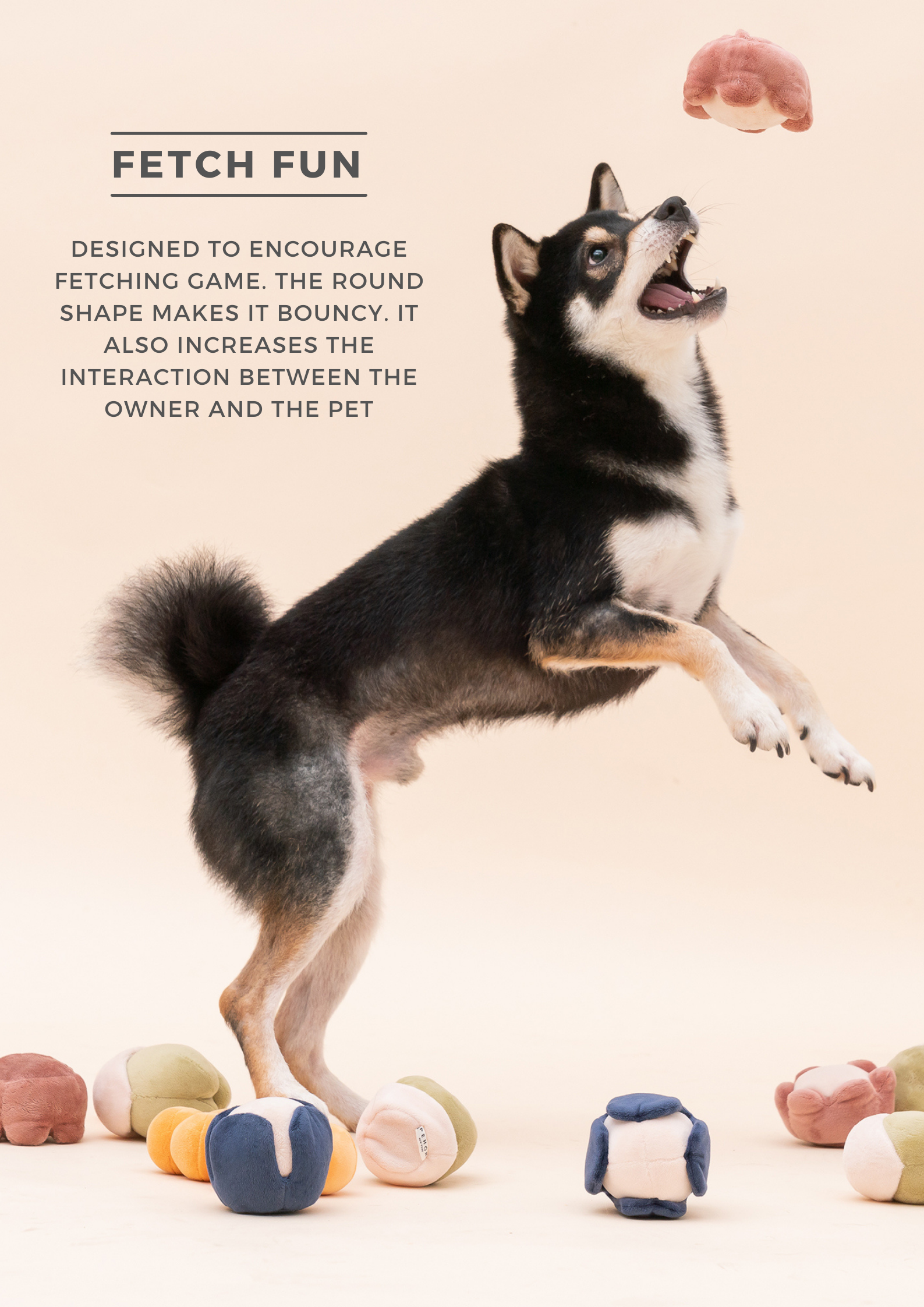 Paradise Pet Toy with Hidden Treats Pocket