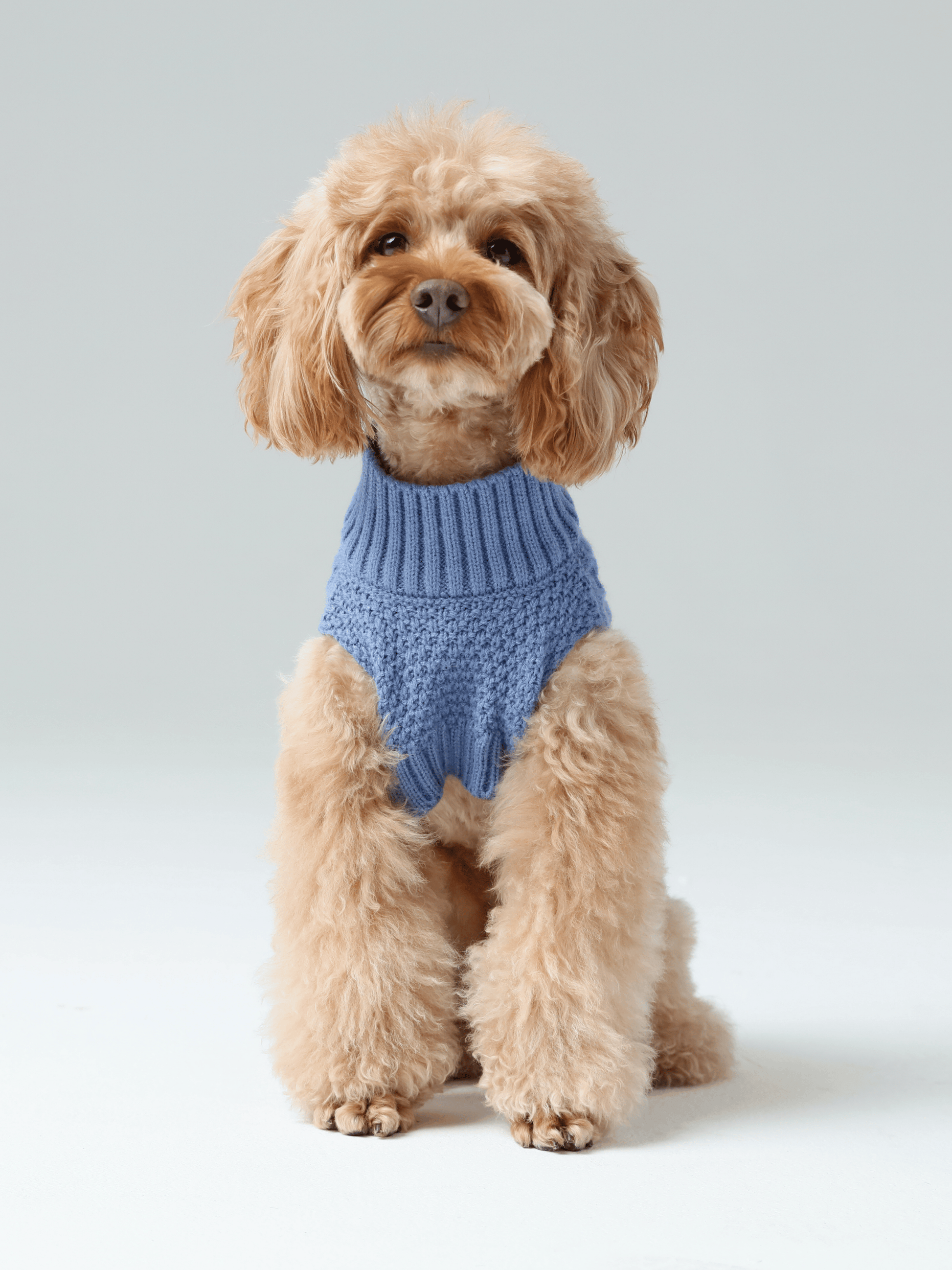 Ice Blue Pet Sweater Vest