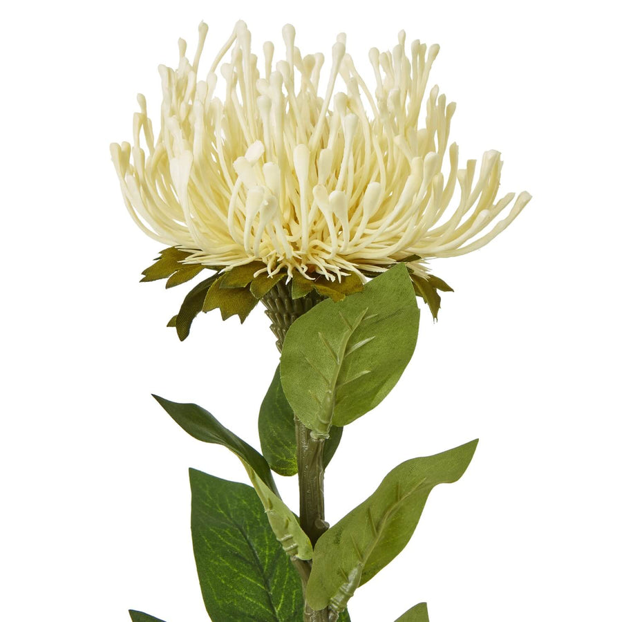 Cream Protea Lorea Stem with lifelike spherical bloom and lush foliage, soft cream artificial flower for home decor by Sostter at brixbailey.com