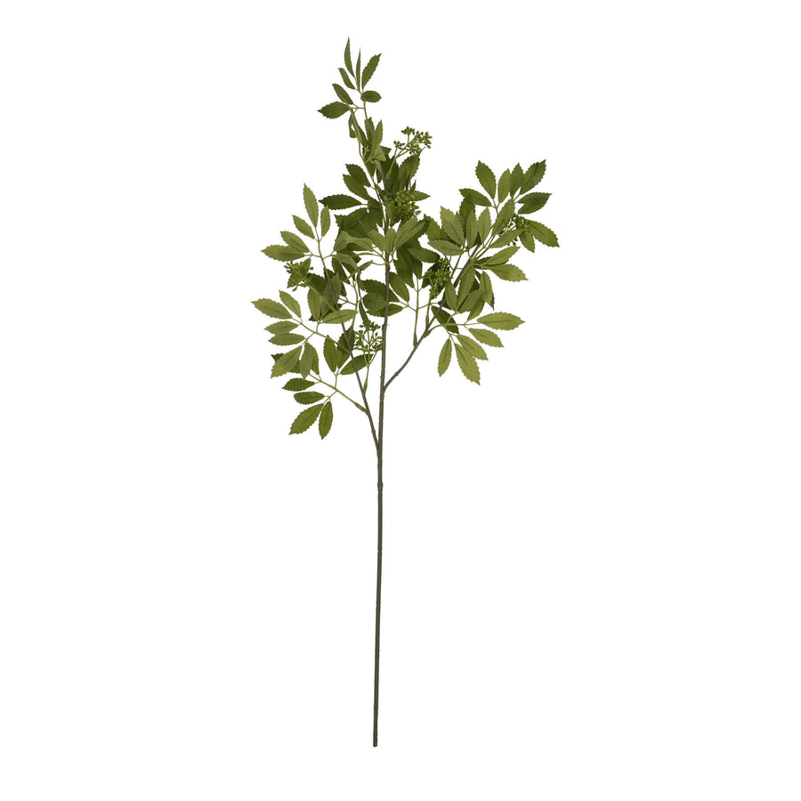 Lifelike artificial fennel stem with feathery green foliage, 76cm tall, for farmhouse or Scandinavian floral arrangements by Sostter at brixbailey.com