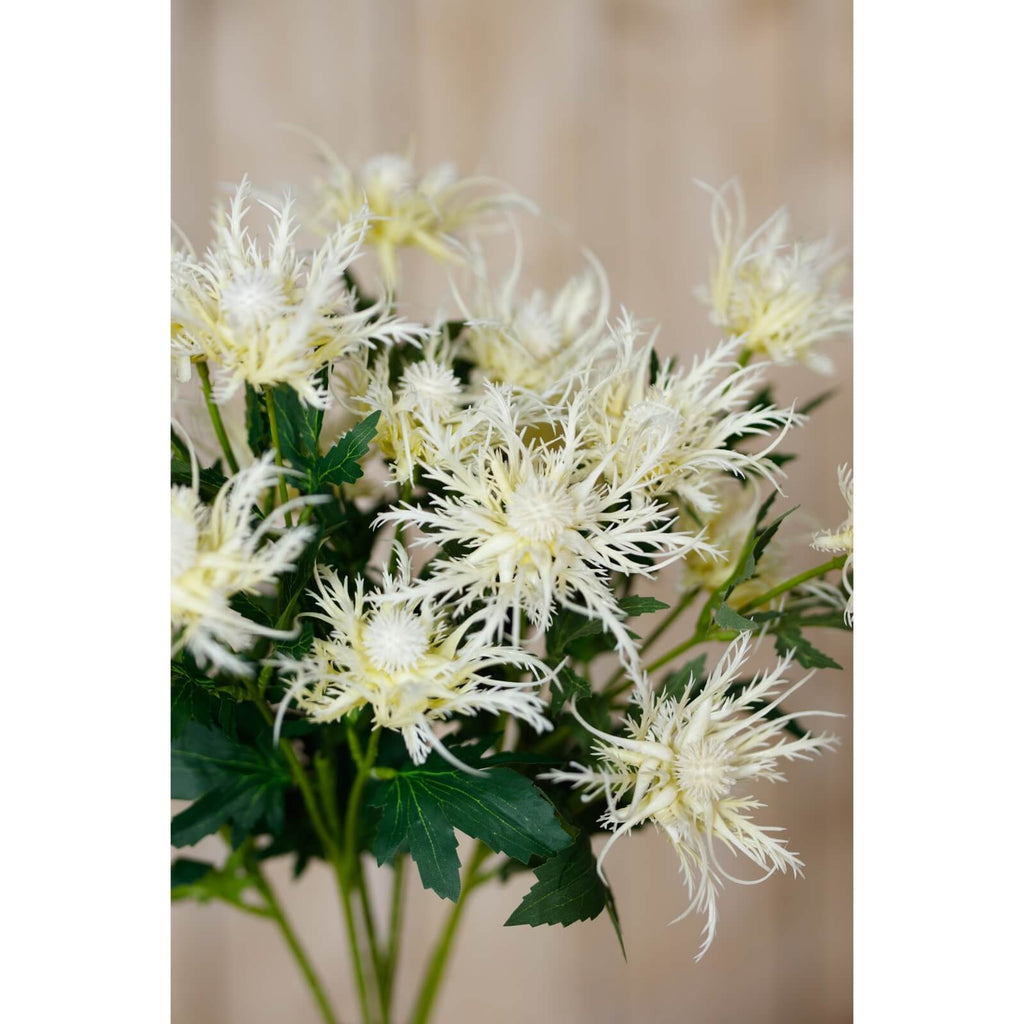 Cream faux sea holly spray with lifelike feathery blooms, 67cm tall, for coastal-inspired home decor by Sostter at brixbailey.com