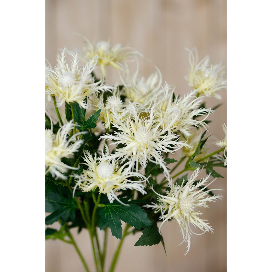 Cream faux sea holly spray with lifelike feathery blooms, 67cm tall, for coastal-inspired home decor by Sostter at brixbailey.com