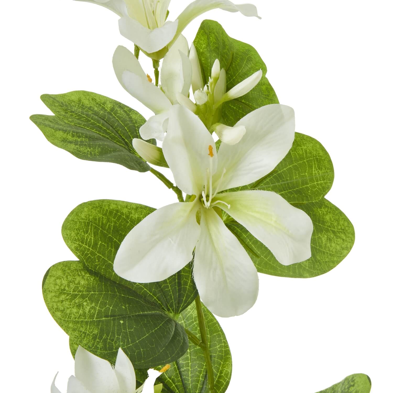 Cream Bauhinia orchid spray, lifelike tropical artificial flowers with realistic foliage, 34-inch Asian-inspired home decor by Sostter at brixbailey.com