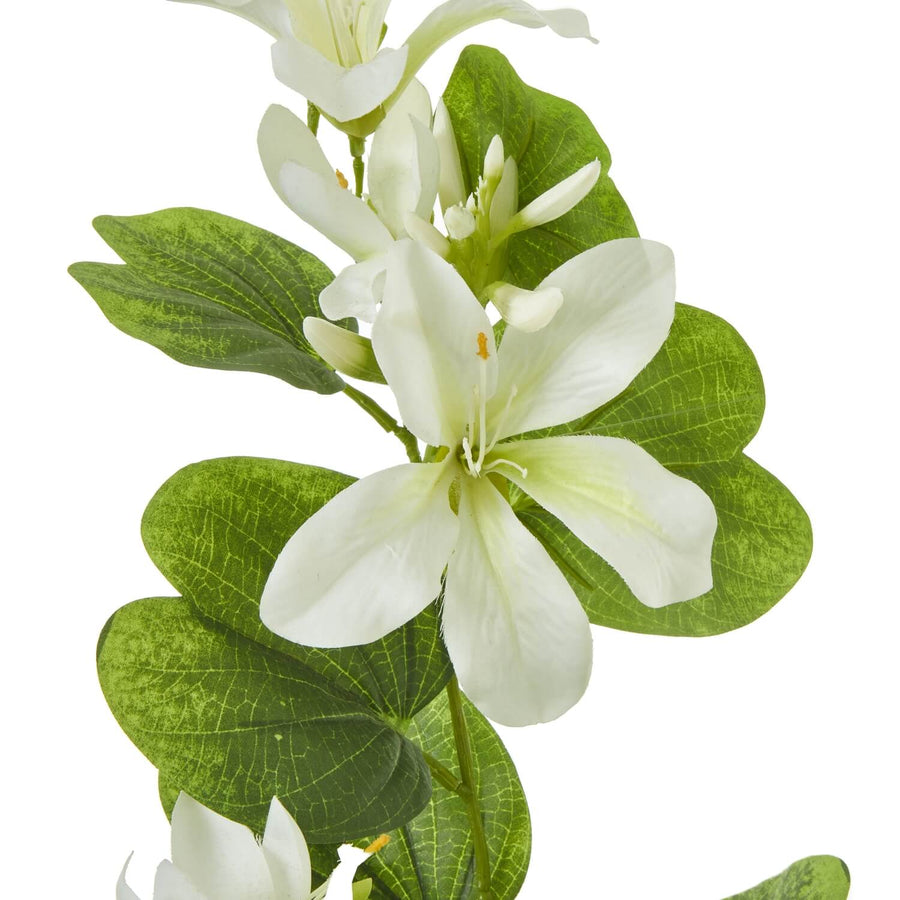 Cream Bauhinia orchid spray, lifelike tropical artificial flowers with realistic foliage, 34-inch Asian-inspired home decor by Sostter at brixbailey.com