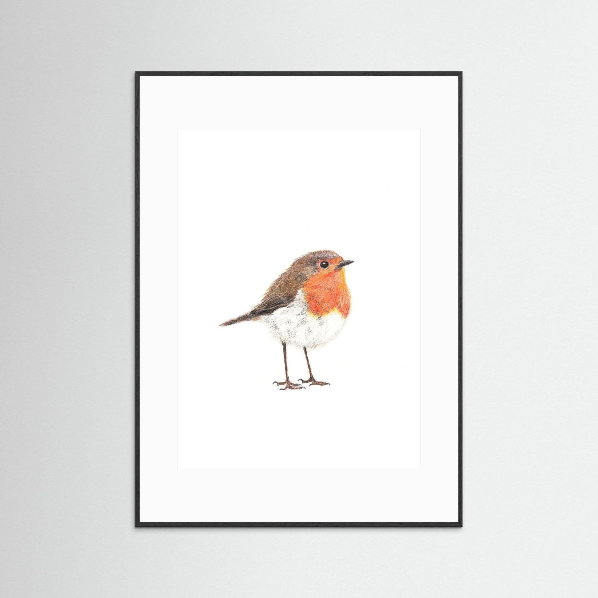 Robin Art Print Wildlife Wall Art for Nature Lovers
