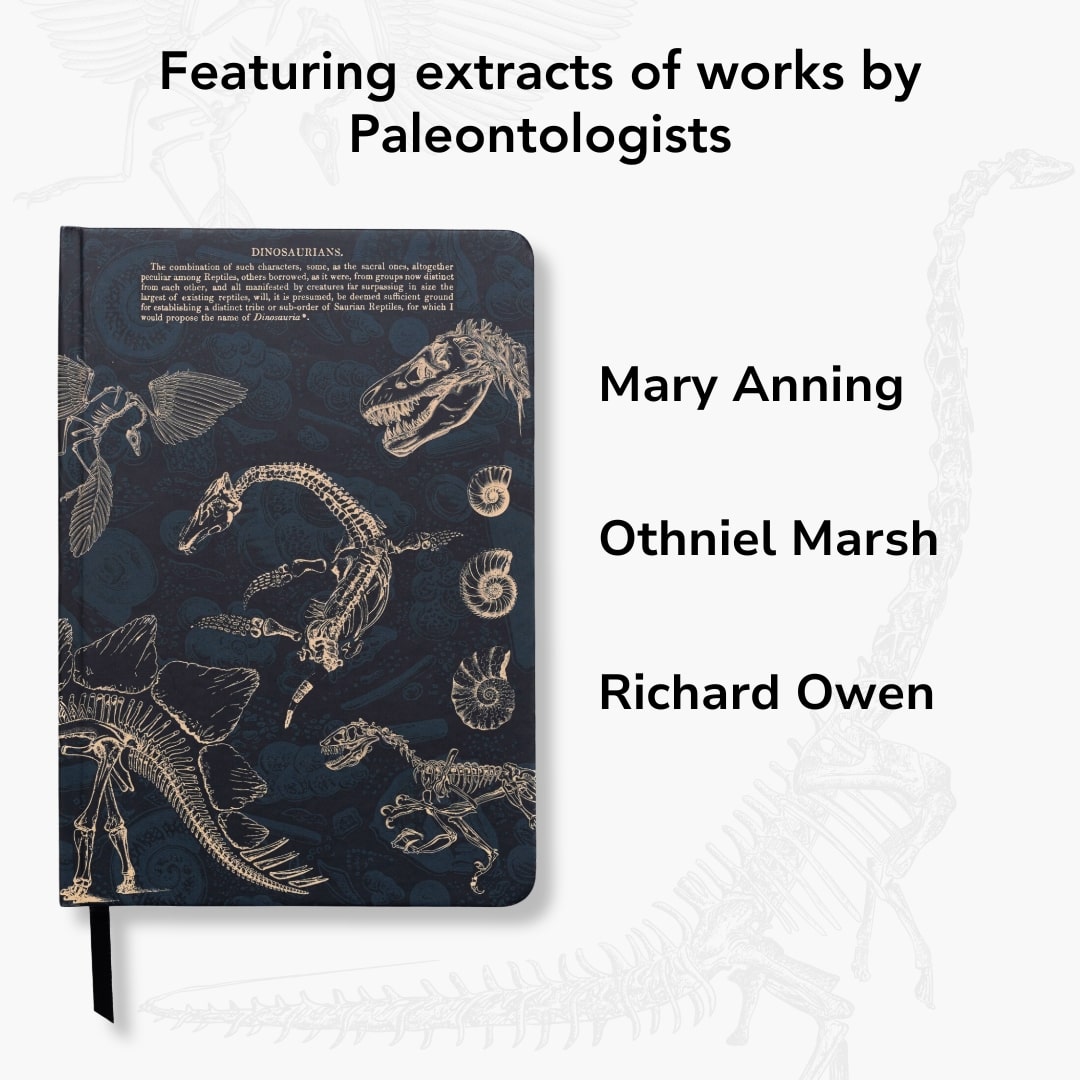 Paleontology A5 Hardcover Notebook