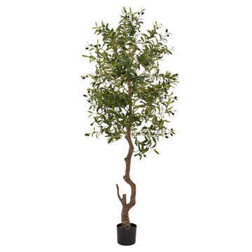 Lifelike faux olive tree, 180cm tall with realistic trunk and olive-green foliage, perfect for Mediterranean-style decor by Sostter at brixbailey.com