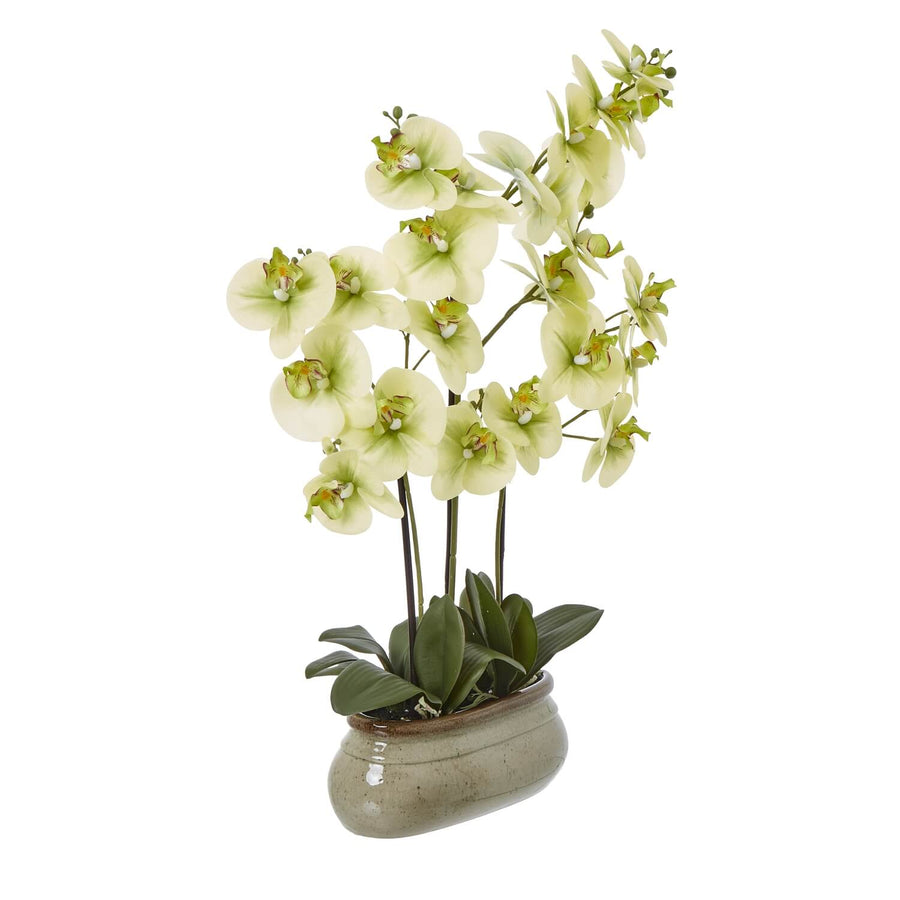 Lifelike faux Phalaenopsis orchid in natural green tones, perfect for home decor by Sostter at brixbailey.com