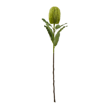 Lifelike green Banksia Serrata artificial stem, 65cm tall with textured leaves and cone blooms, perfect for home decor by Sostter at brixbailey.com