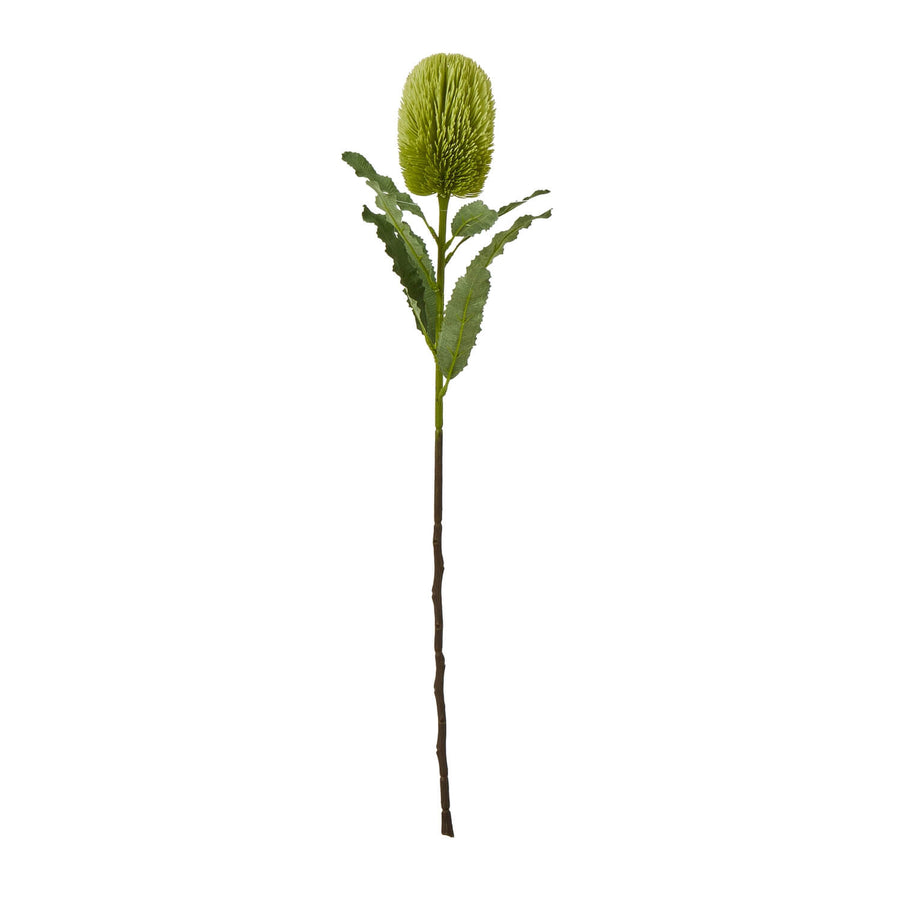 Lifelike green Banksia Serrata artificial stem, 65cm tall with textured leaves and cone blooms, perfect for home decor by Sostter at brixbailey.com