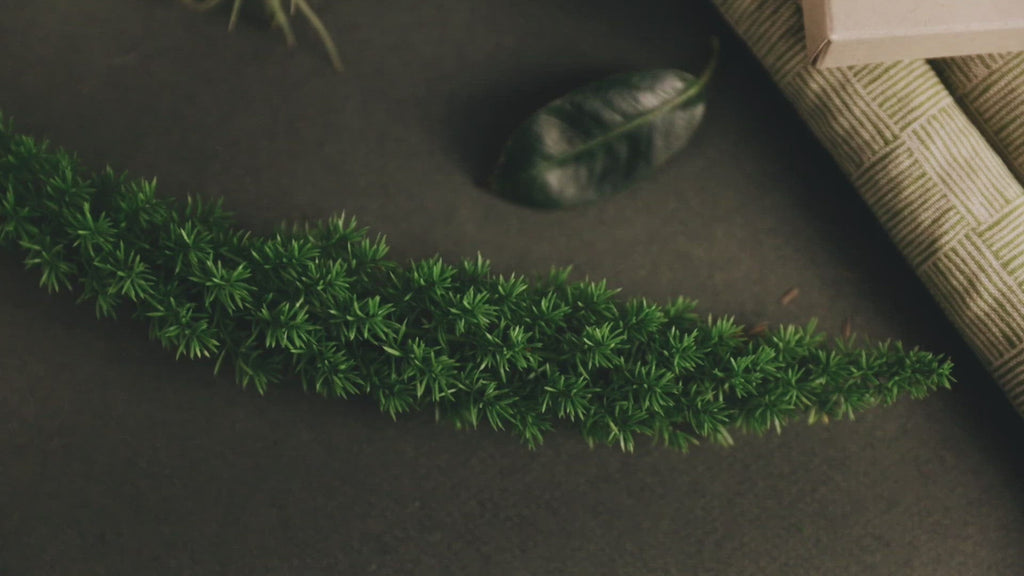 Greenhouse Eye Mask for Migraine Relief