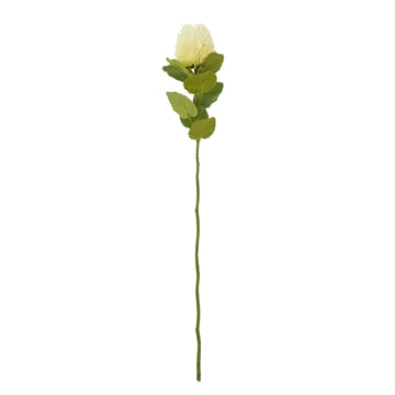 Cream Banksia stem with green accents, hyper-realistic faux floral for home decor, 59 cm tall by Sostter at brixbailey.com