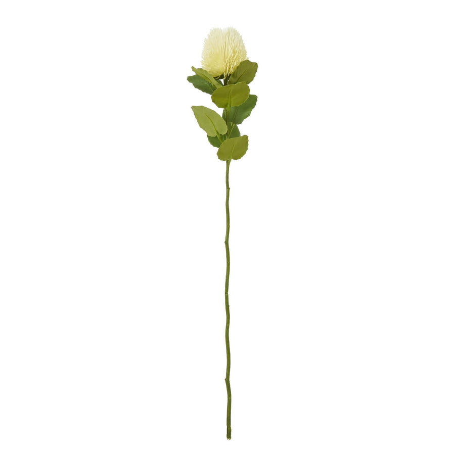 Cream Banksia stem with green accents, hyper-realistic faux floral for home decor, 59 cm tall by Sostter at brixbailey.com