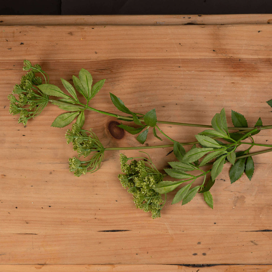 Artificial cow parsley stem with white blooms and green foliage, 100cm tall, realistic wildflower decor for floral arrangements by Sostter at brixbailey.com