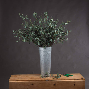 Tall faux eucalyptus stem with realistic green leaves, perfect for floor vases and home decor by Sostter at brixbailey.com