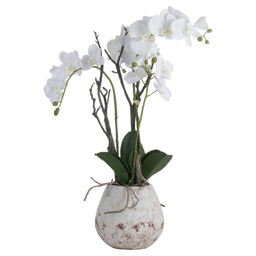 Lifelike white faux orchid in rustic stone pot, perfect for home decor with realistic blooms and designer-quality stoneware planter. by Sostter at brixbailey.com