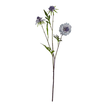 Artificial Scabious stem with soft blue hand-painted petals, hyper-realistic texture, and botanically accurate details. by Sostter at brixbailey.com
