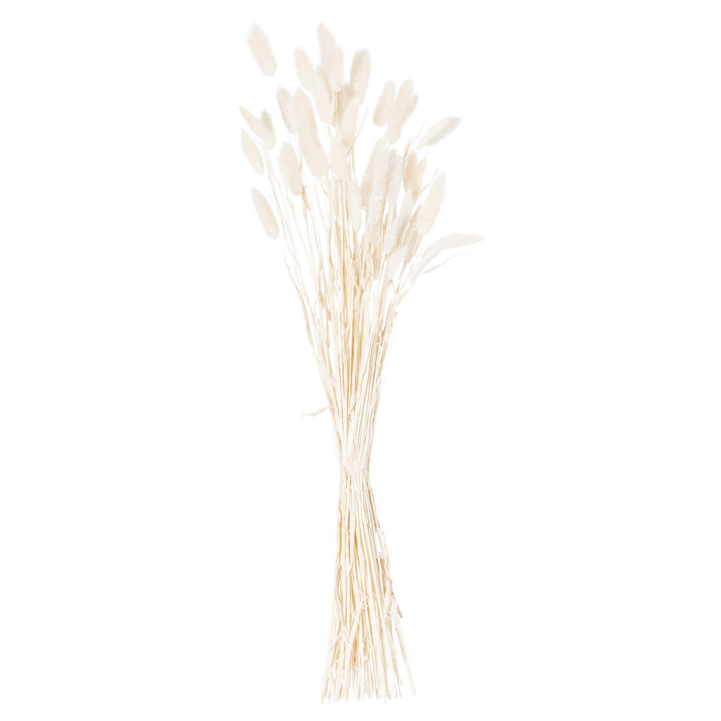 White bunny tail grass bouquet, 60 dried Lagurus stems for elegant home decor by Sostter at brixbailey.com