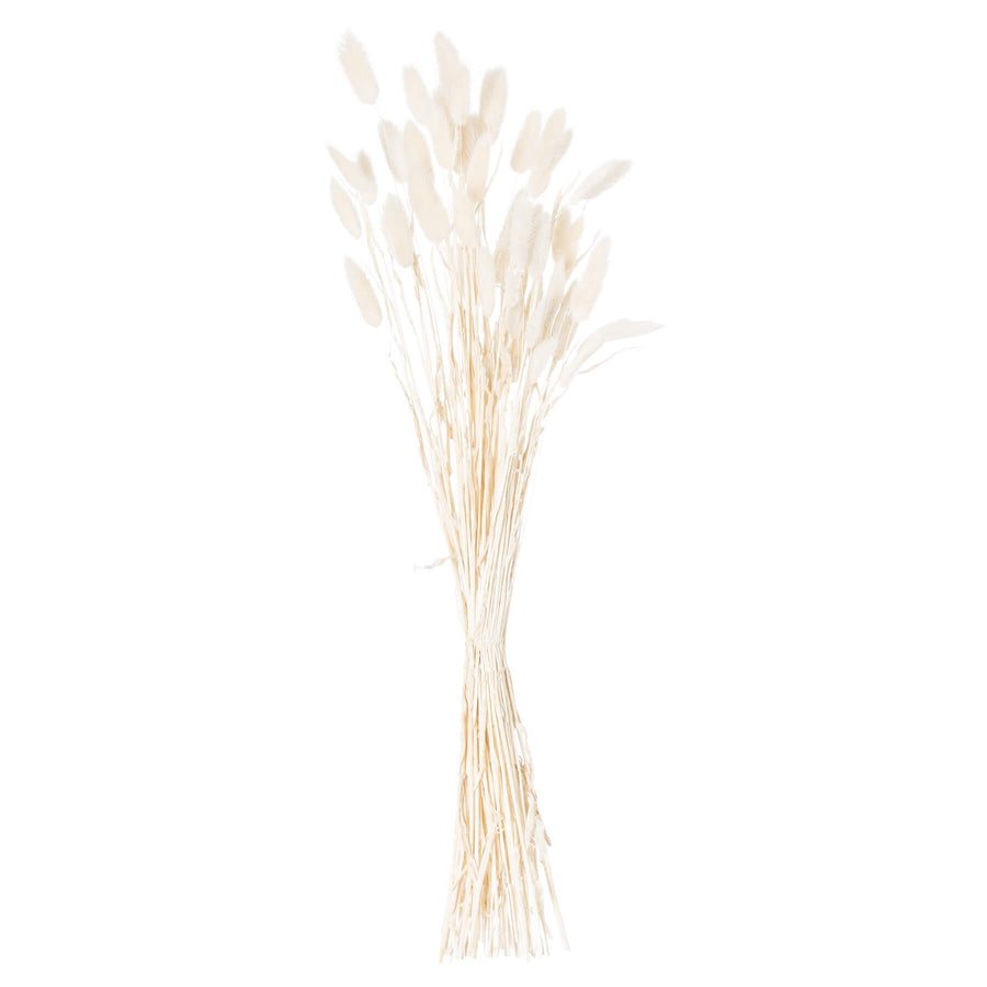 White bunny tail grass bouquet, 60 dried Lagurus stems for elegant home decor by Sostter at brixbailey.com