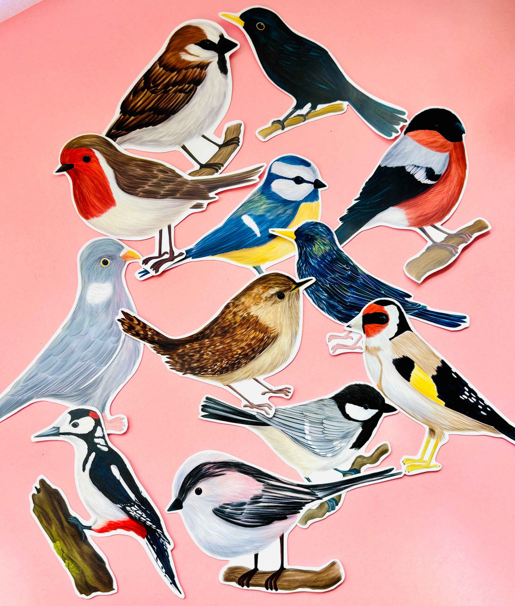 Garden Bird Sticker Gift Set- 7cm Vinyl Waterproof Stickers