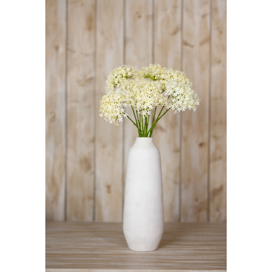 Cream Gloriosa Spray