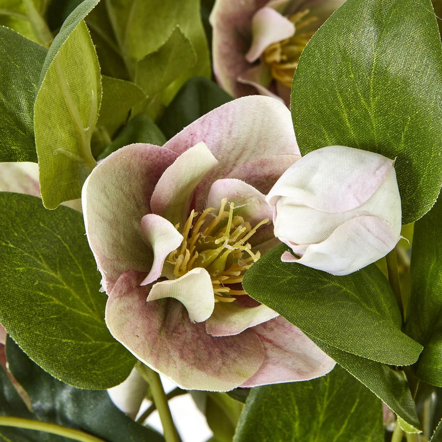 Lifelike faux hellebore plant with soft pink and white blooms in grey ceramic pot, perfect for home decor. by Sostter at brixbailey.com