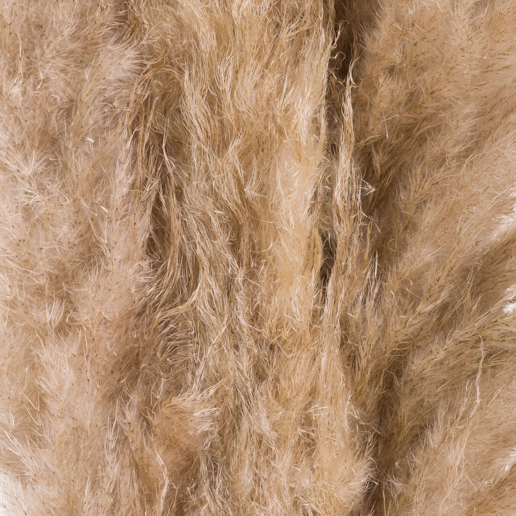 Hand-selected natural butter pampas grass stems, 110cm tall with feathery plumes for home dÃ©cor by Sostter at brixbailey.com