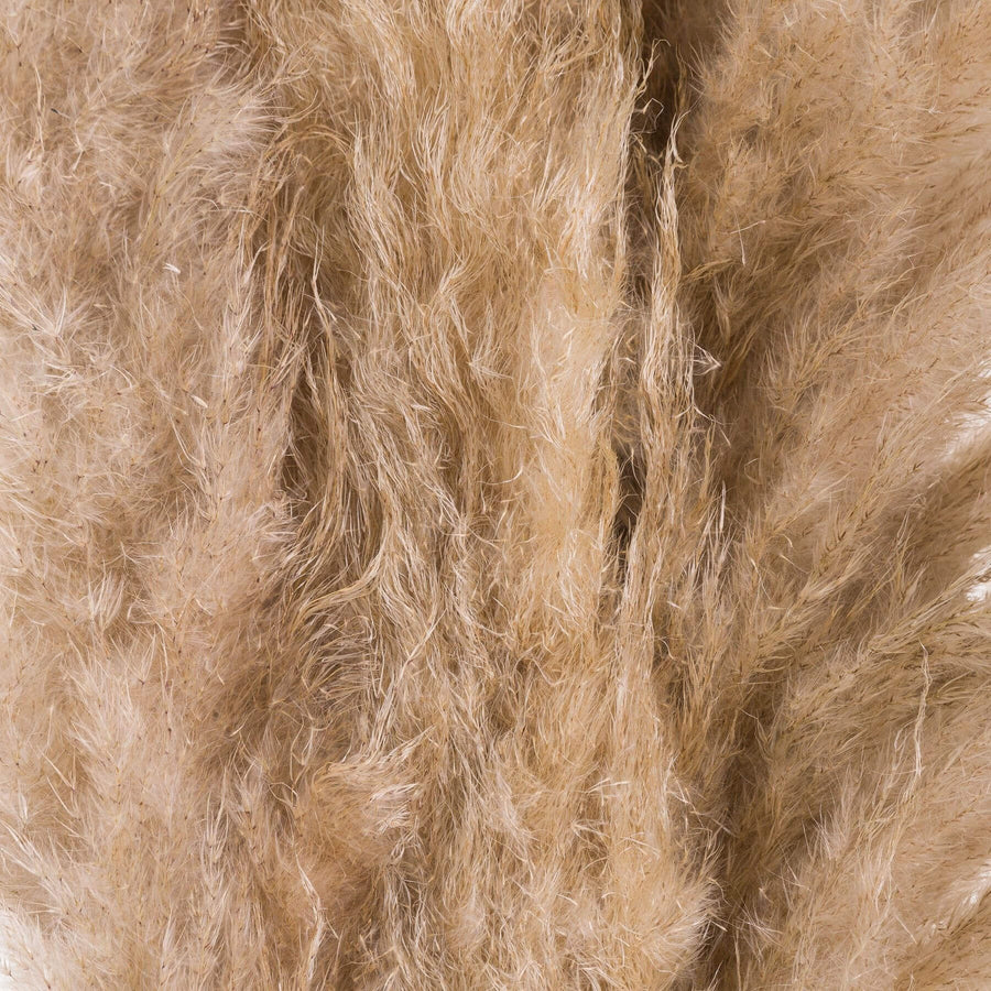 Hand-selected natural butter pampas grass stems, 110cm tall with feathery plumes for home dÃ©cor by Sostter at brixbailey.com