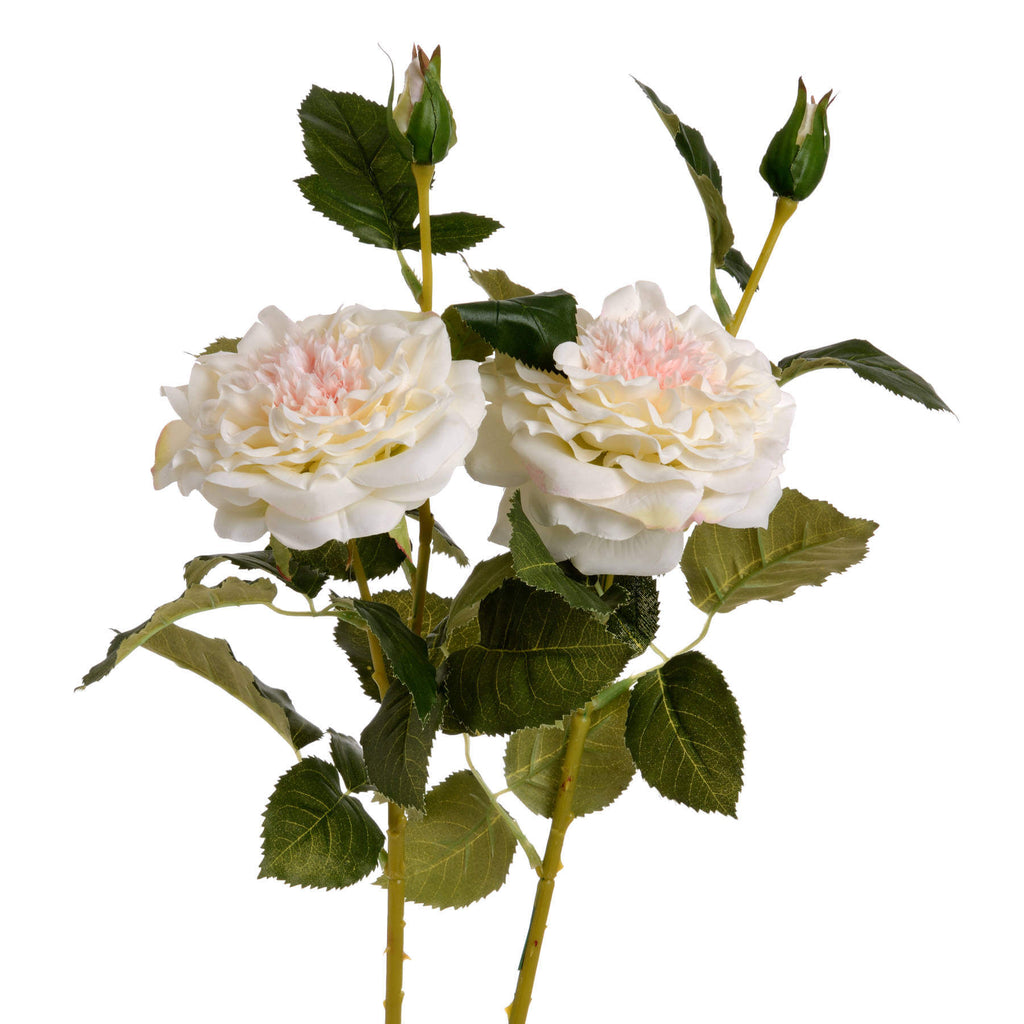 Lifelike white garden rose spray with ivory blooms and textured leaves for elegant home decor by RoomLondon at brixbailey.com