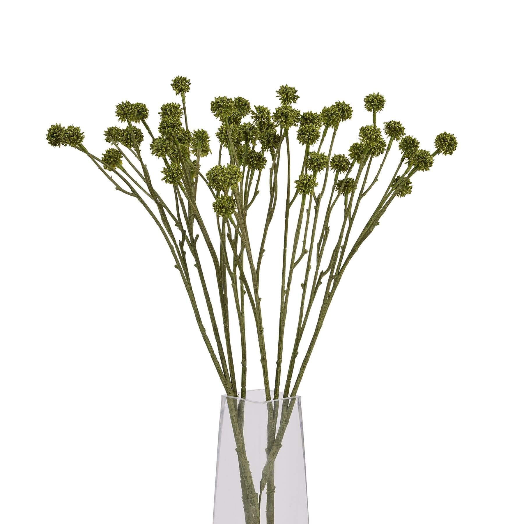 Handcrafted green craspedia artificial stems with spherical blooms, sage green color, 60cm height for floral arrangements. by Sostter at brixbailey.com