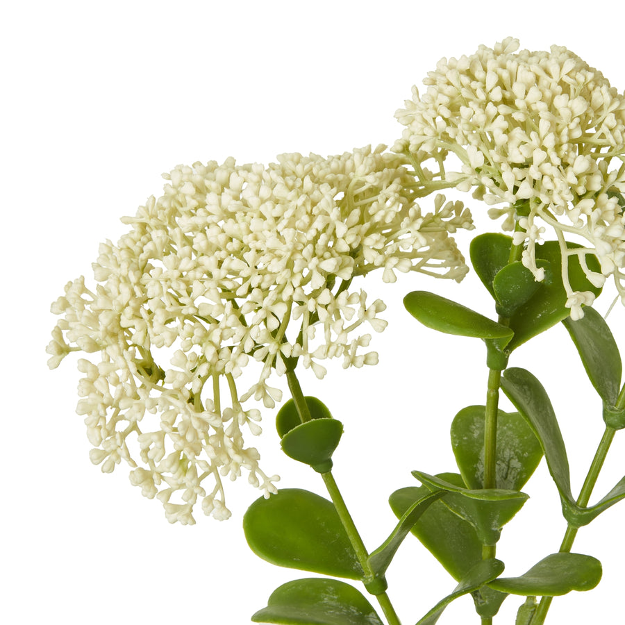 Introducing our stunning Cream Sedum Spray - Captivating Faux Floral Decor for Home and Arrangements by Hill Interiors at www.brixbailey.com