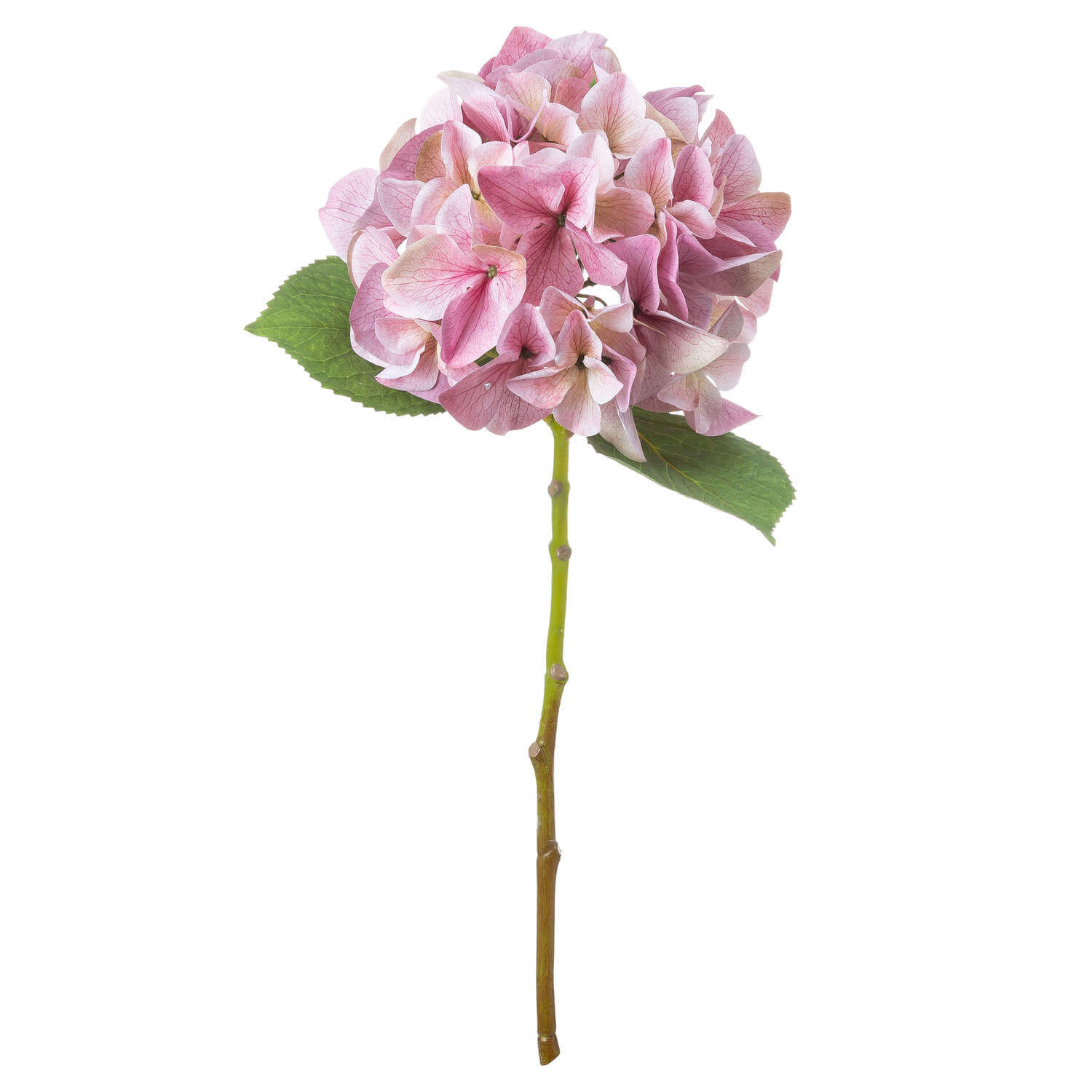 Vintage pink artificial hydrangea with lifelike petals, shabby chic style, perfect for floral arrangements. by Sostter at brixbailey.com
