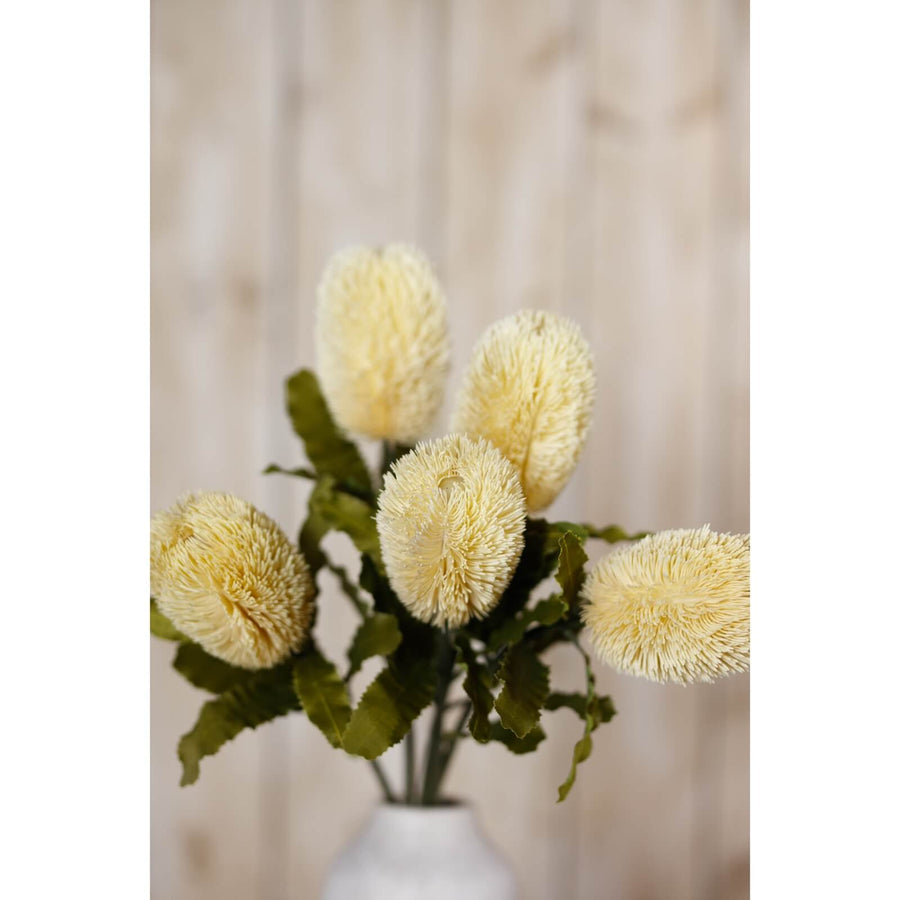 Banksia serrata faux stem with feathery cream blooms and green accents, 65cm tall, lifelike plastic botanical decor by Sostter at brixbailey.com
