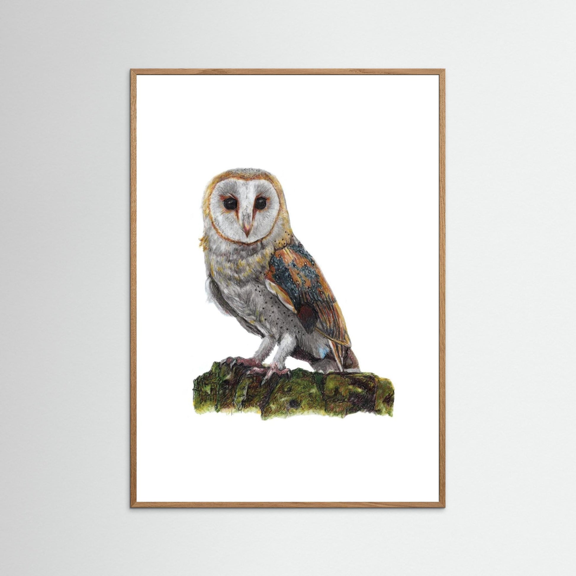 Barn Owl Art Print Wildlife Wall Art for Nature Lovers