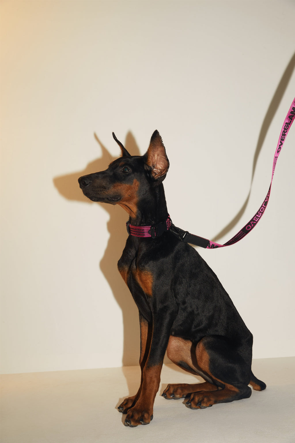 Ribbon Lead with Leather in Rose and Green