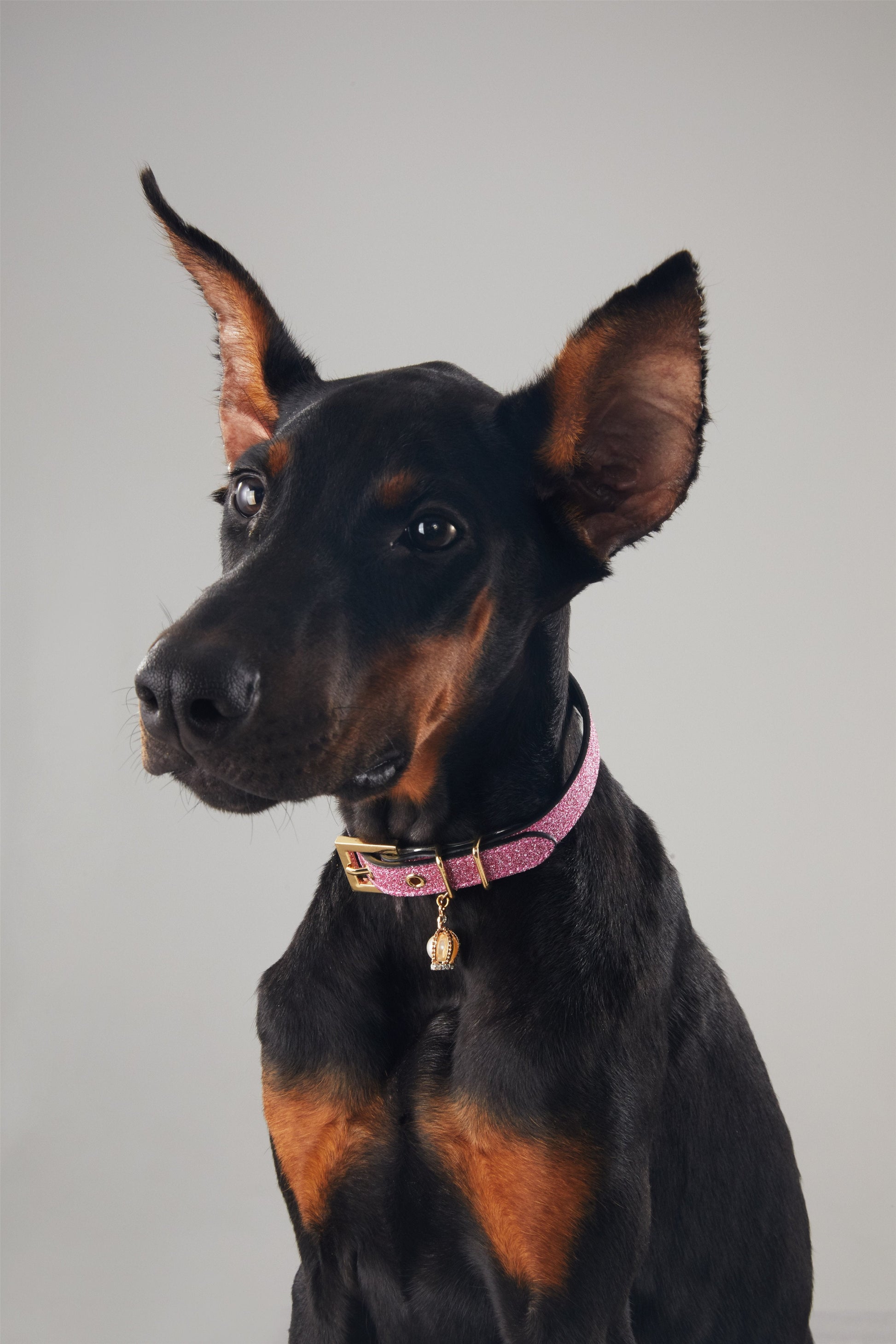 Rose Glitter Leather Collar with Crown