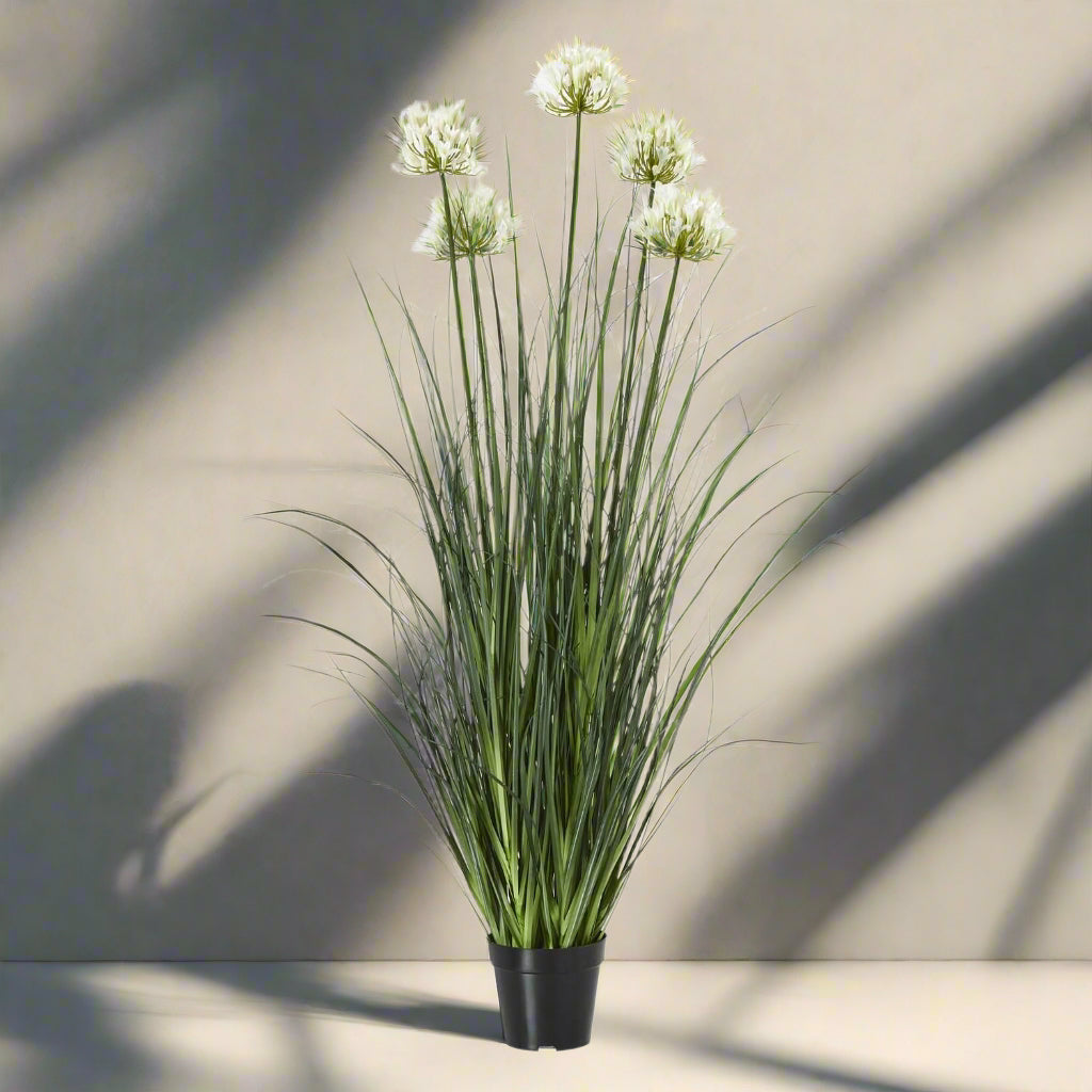 Lifelike white agapanthus faux flowers in sleek black pot, perfect for modern decor  by Sostter at brixbailey.com